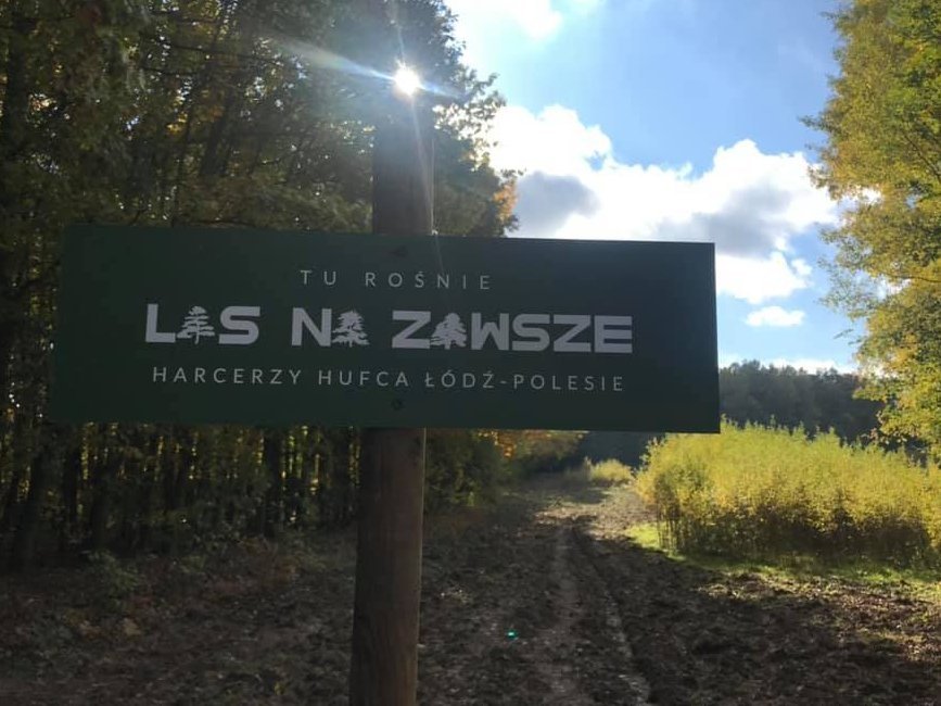 5 tysięcy drzew znalazło swój dom w Lesie Łagiewnickim za sprawą Fundacji Las Na Zawsze i Hufca ZHP Łódź-Polesie 