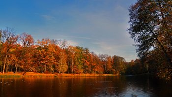 Park im. A.Mickiewicza -  Aleksandra Szczepańska
