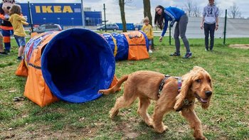 Zdjęcie promujące wydarzenie: Siłownia, siatkówka, a może zabawa z psem? - wakacyjne atrakcje w Porcie Łódź -  mat. pras. Port Łódź