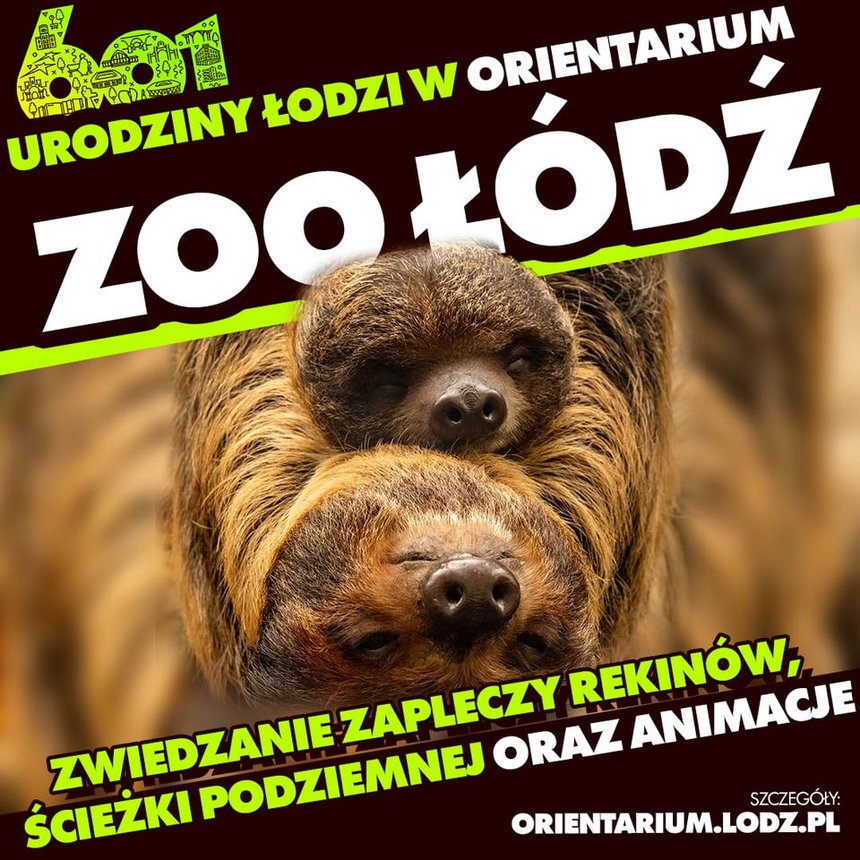 Moc atrakcji na Urodziny Łodzi w Orientarium Zoo Łódź!