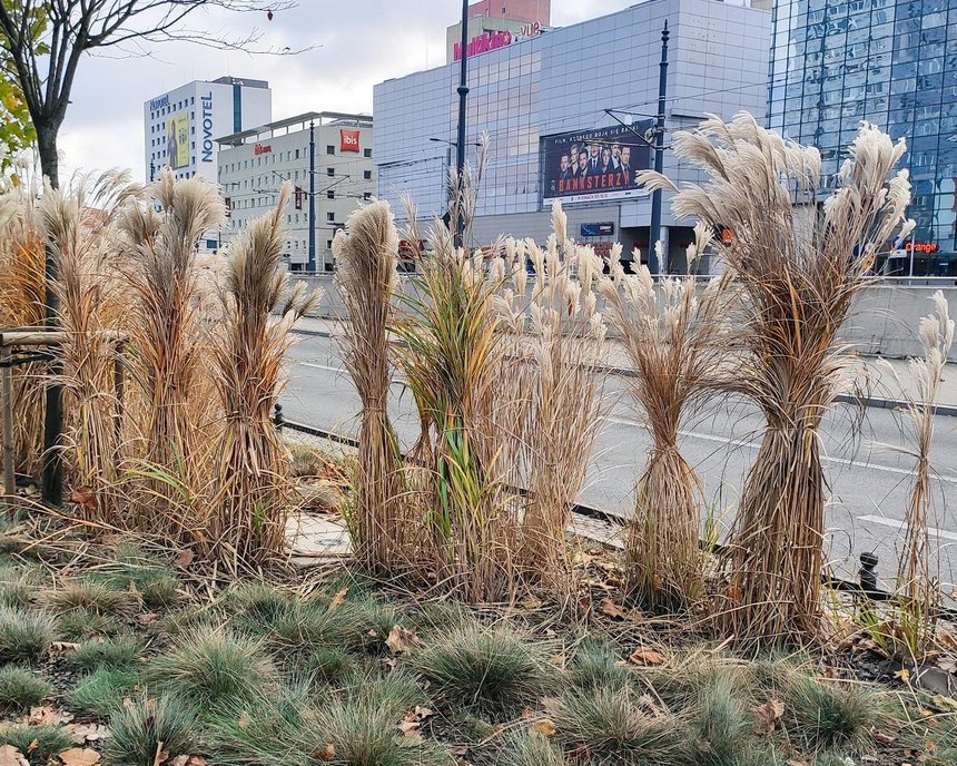 fot. Paweł Łacheta / UMŁ