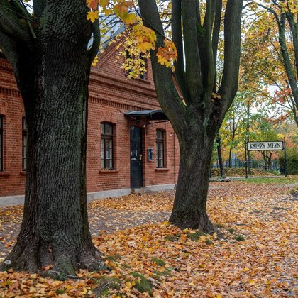 Koci Szlak, Księży Młyn, fot. ŁÓDŹ.PL