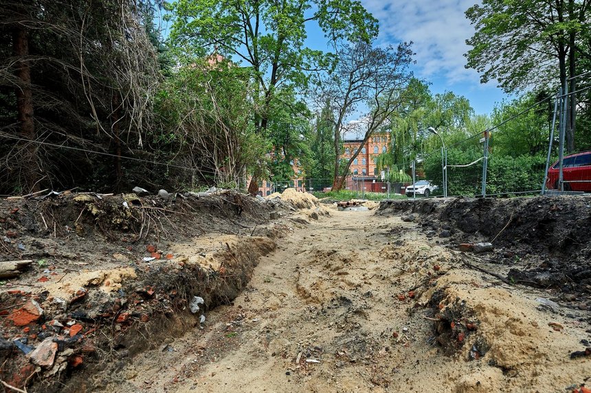 fot. Radosław Jóźwiak / UMŁ