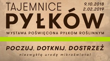 Grafika promująca wydarzenie: Tajemnice pyłków - wystawa w EC1 -  fot. mat. EC1