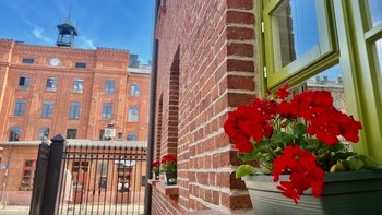  -  Popołunie z filmem na Księży Młynie