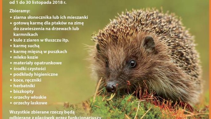 IV edycja akcji "Dzikość Serca" trwa jeszcze 10 dni. 