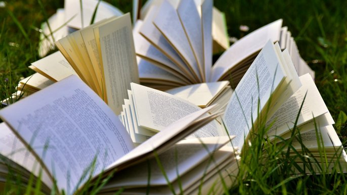 Od 5 lipca 2019 r. rusza akcja „Przeczytaj i podaj dalej” czyli Wakacyjny Bookcrossing w Ogrodzie Botanicznym. - fot. CC0