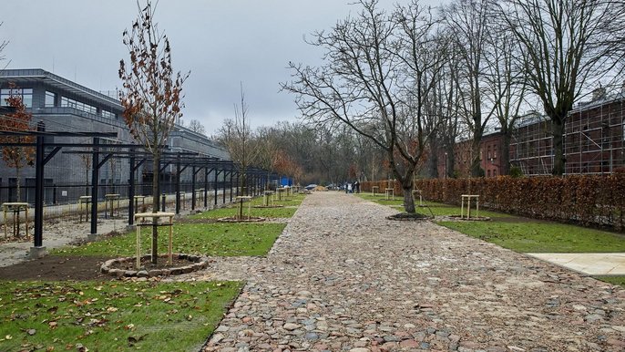 Wyjątkowa inwestycja. Na Księżym Młynie powstaje pierwszy zielony parking - fot. Radosław Jóźwiak / UMŁ