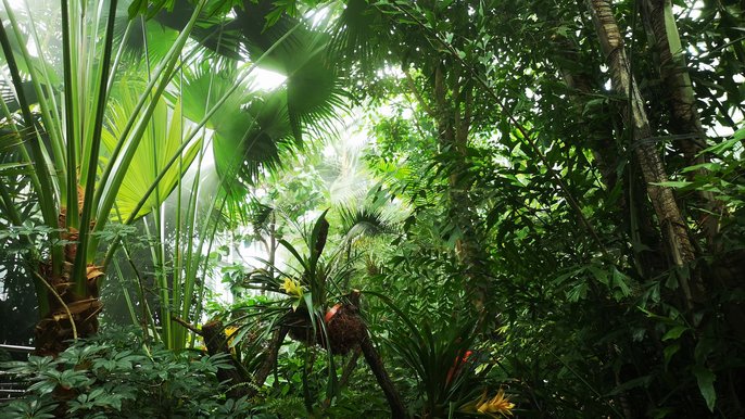  - Senioralia 2024 w Palmiarni Ogrodu Botanicznego