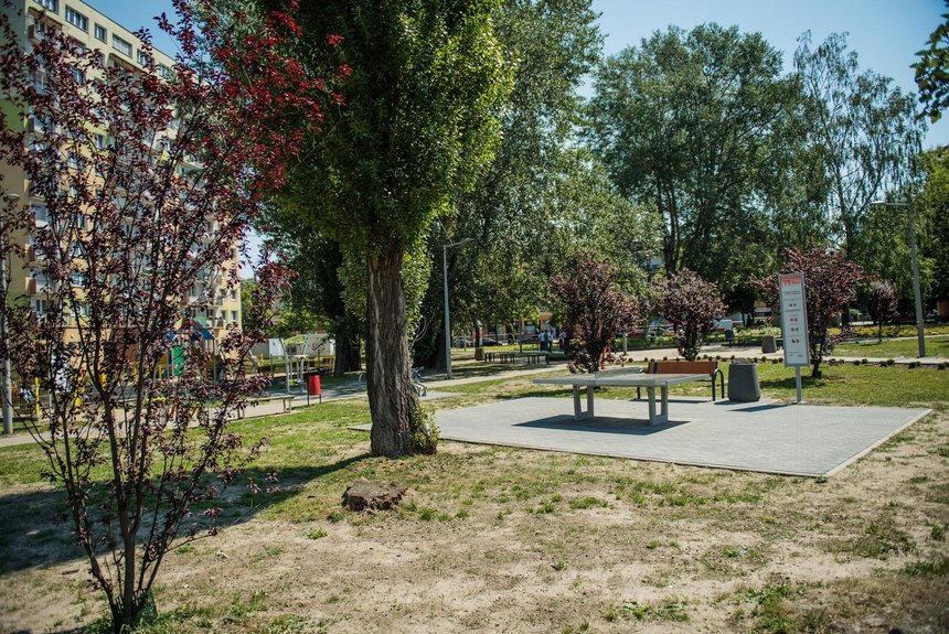 fot. Radosław Żydowicz / UMŁ