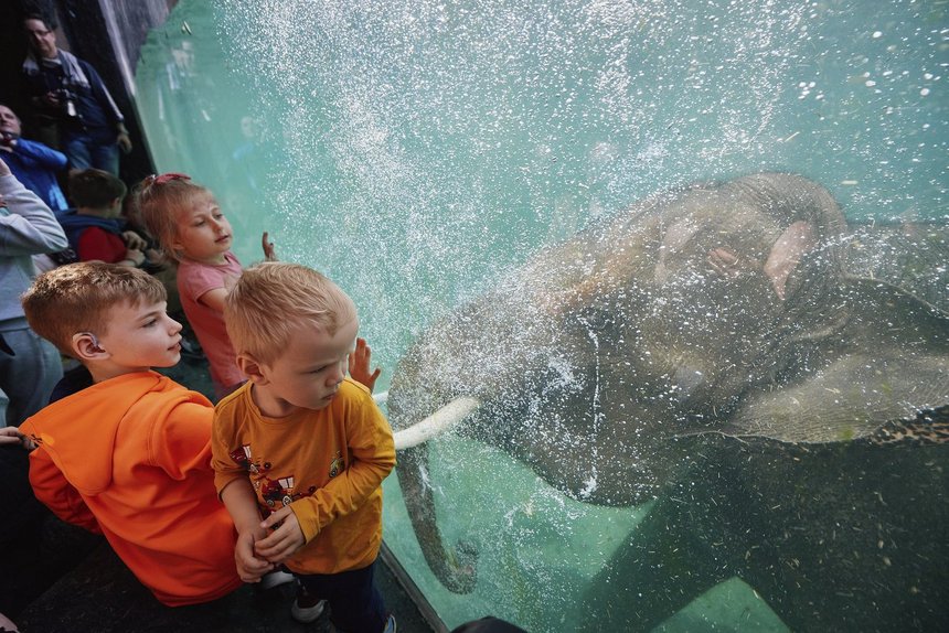 fot. Radosław Jóźwiak