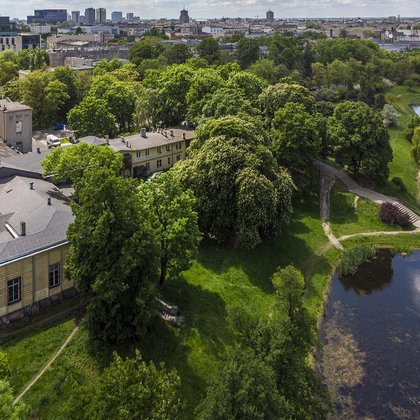 Park Helenów, foto Archiwum UMŁ