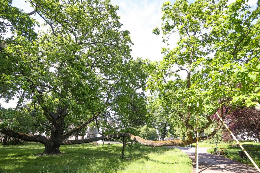 fot. Konrad Ciężki