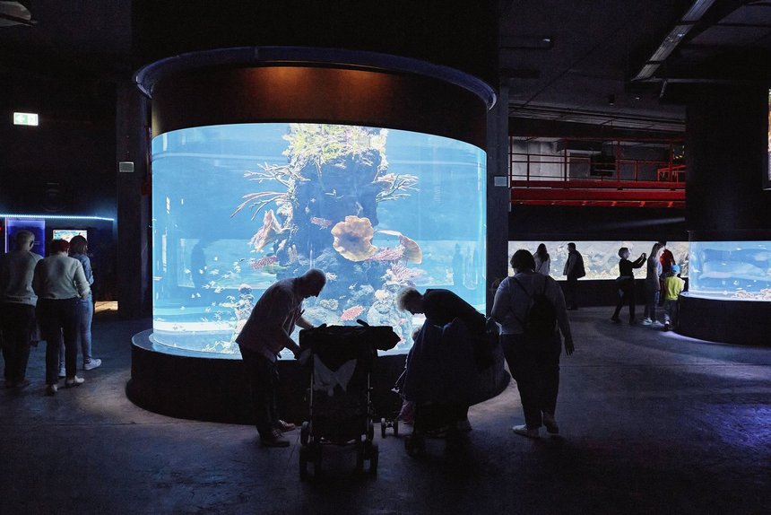 fot. Radosław Jóźwiak