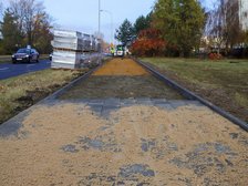 fot. Konrad Ciężki