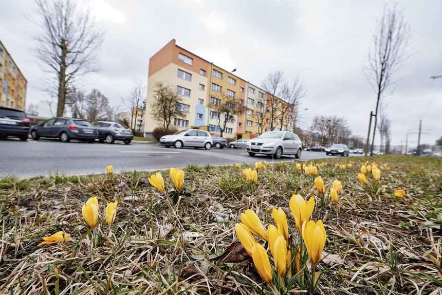 fot. Radosław Jóźwiak