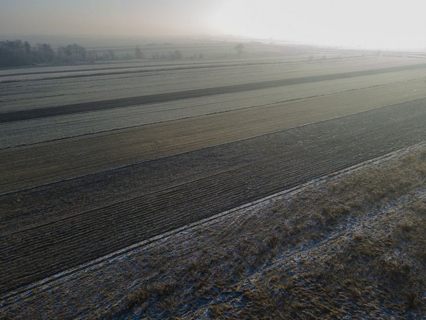 fot. ŁÓDŹ.PL