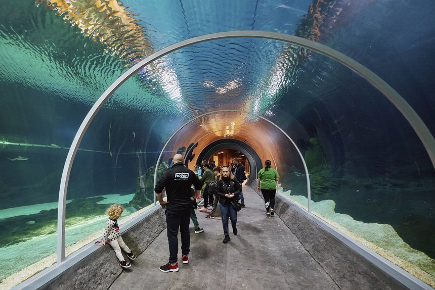 fot. Radosław Jóźwiak