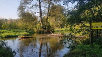 XXVI Spotkanie Miłośników Rzeki Rawki  