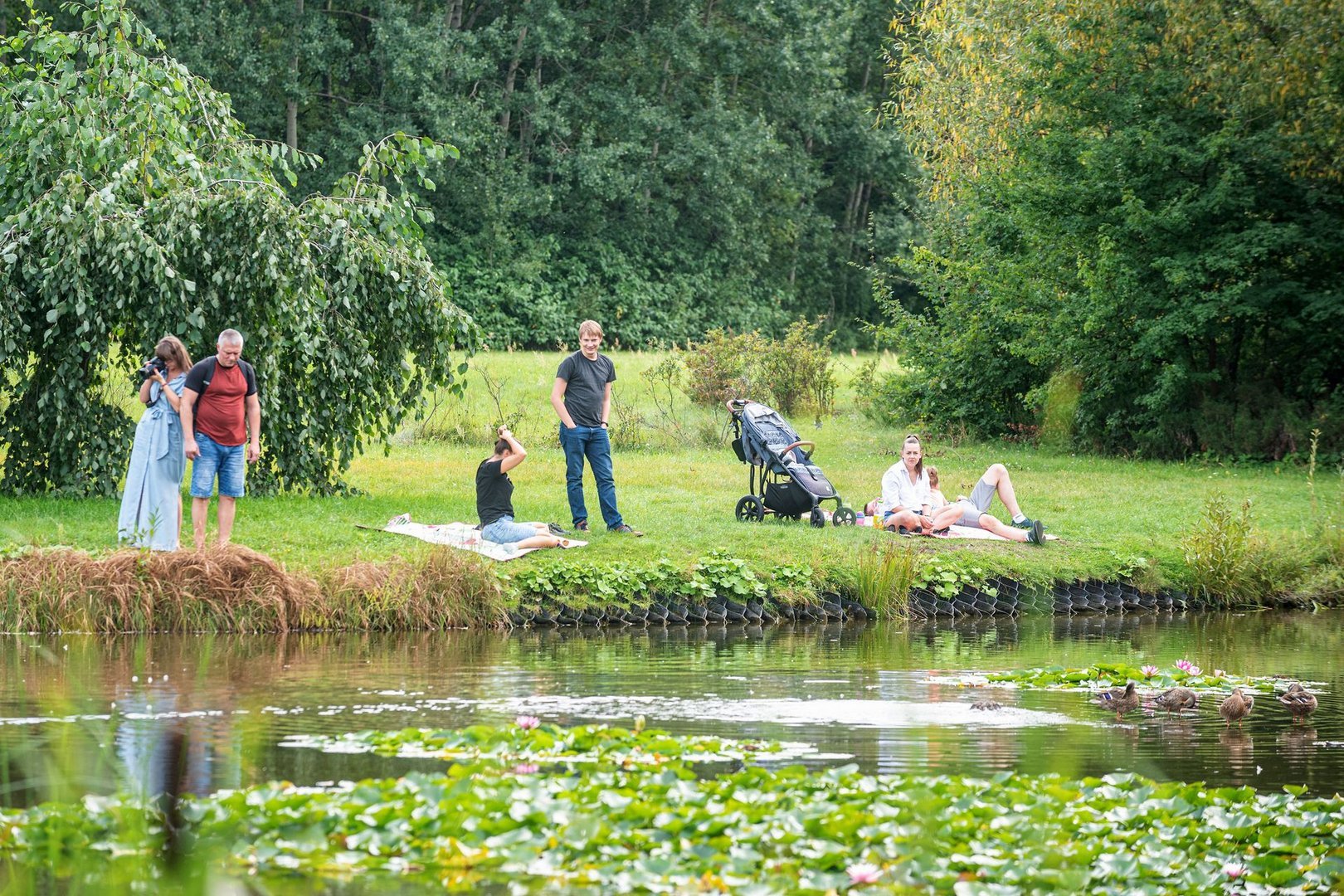 W Ogrodzie Botanicznym kwitnie już mnóstwo kwiatów, Łódź.pl