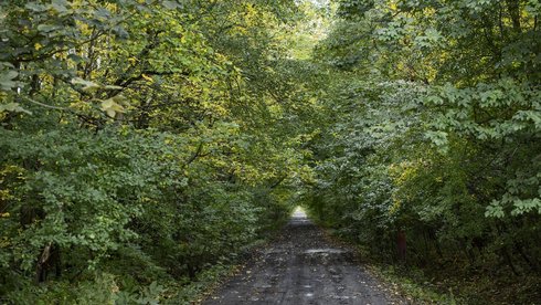 fot. Radosław Jóźwiak / UMŁ