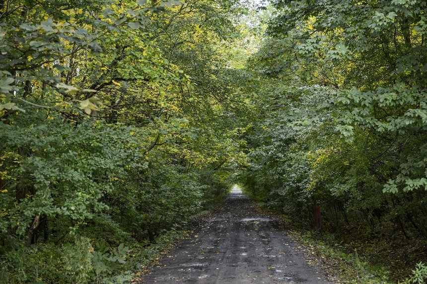 fot. Radosław Jóźwiak / UMŁ