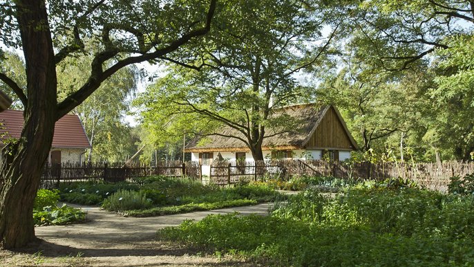 Skansen Roślinny w Łódzkim Ogrodzie Botanicznym - fot. Archiwum UMŁ