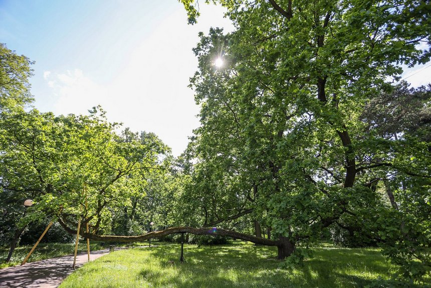 fot. Konrad Ciężki