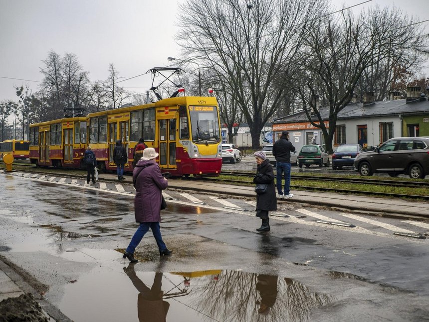 fot. Stefan Brajter / UMŁ