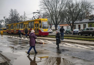 fot. Stefan Brajter / UMŁ