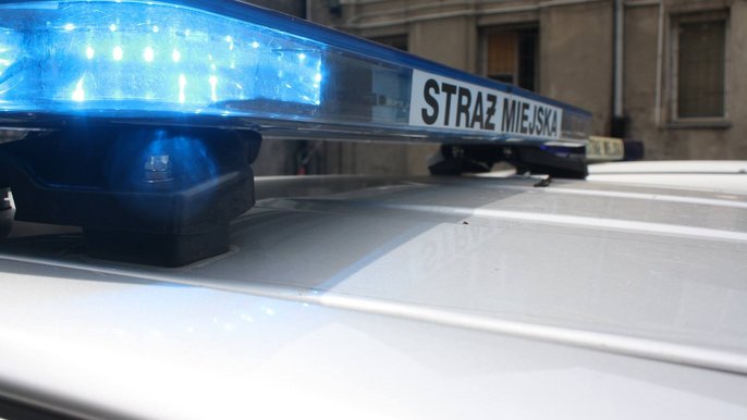 Strażnicy ujęli kierującego bez uprawnień 