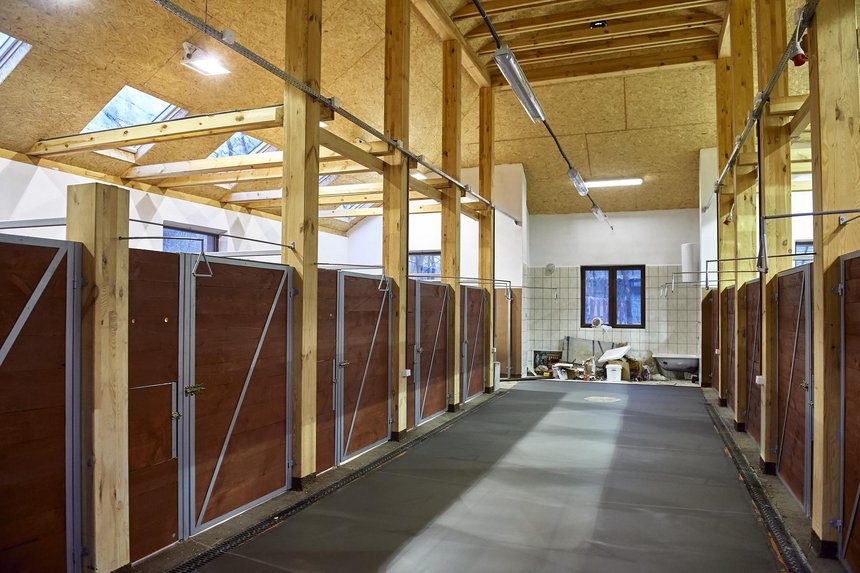 Fot. Radosław Jóźwiak / UMŁ