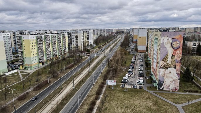 Morele, bociany i wysokie wieżowce - fot. Radosław Jóźwiak