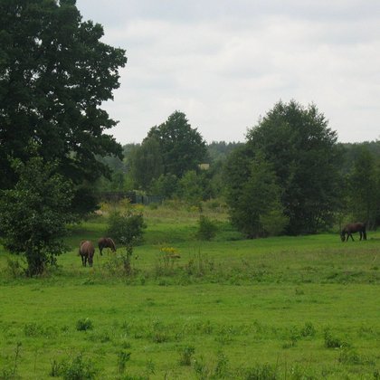 Dolina rzeki Sokołówki, fot. ŁÓDŹ.PL