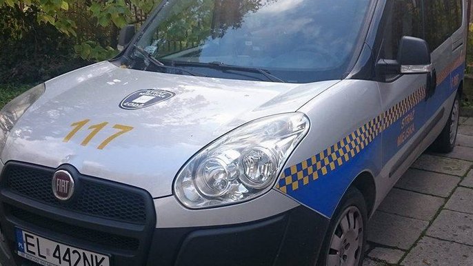 Wykroczenia w ruchu drogowym 