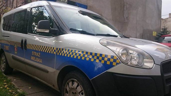 Wykroczenia w ruchu drogowym 