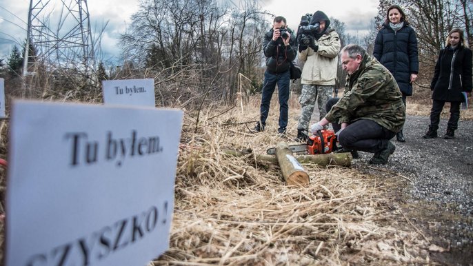 Wycinka drzew przy zbiegu ulic Warszawskiej i Tęczowej - Witold Ancerowicz, UMŁ