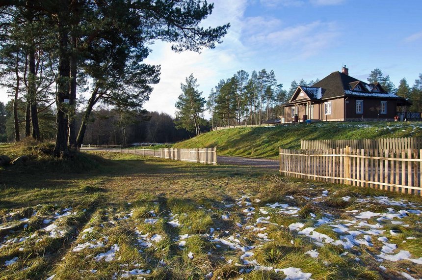 Andrzej Janecki / UMŁ