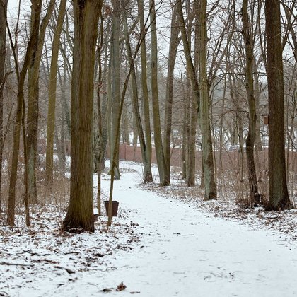 Las Łagiewnicki zimą, fot. ŁÓDŹ.PL