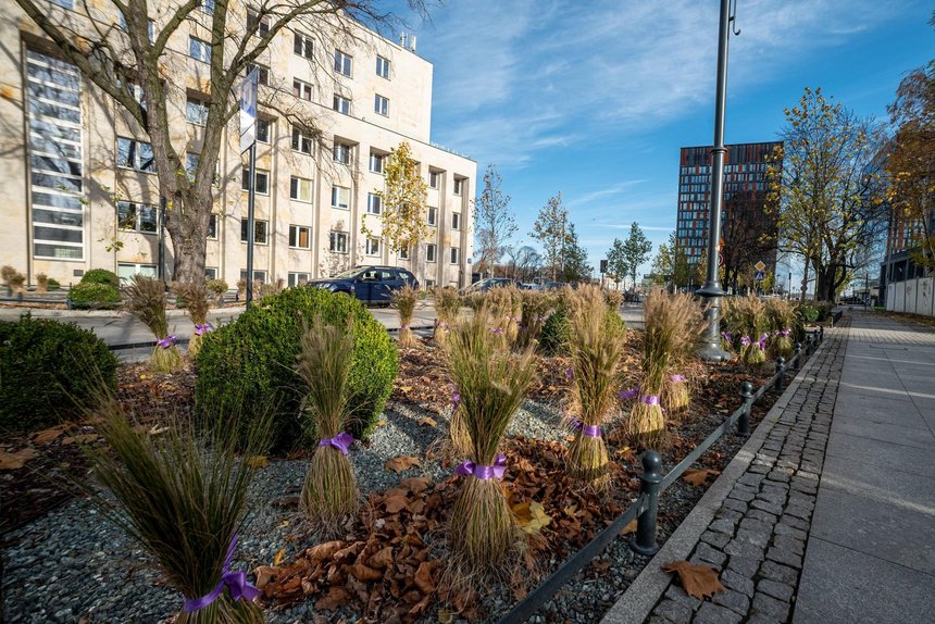 fot. Paweł Łacheta / UMŁ