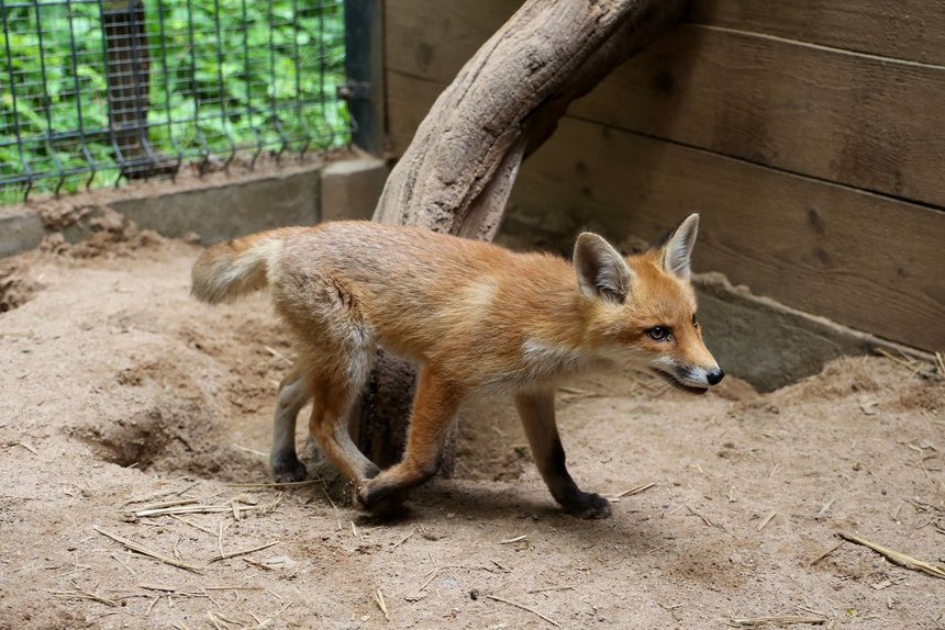 fot. Konrad Ciężki