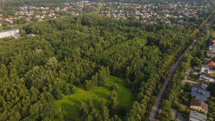 Tereny zielone przy ulicach Wycieczkowej i Centralnej - fot. Stefan Brajter / UMŁ