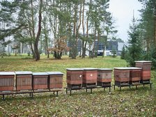 fot. Radosław Jóźwiak