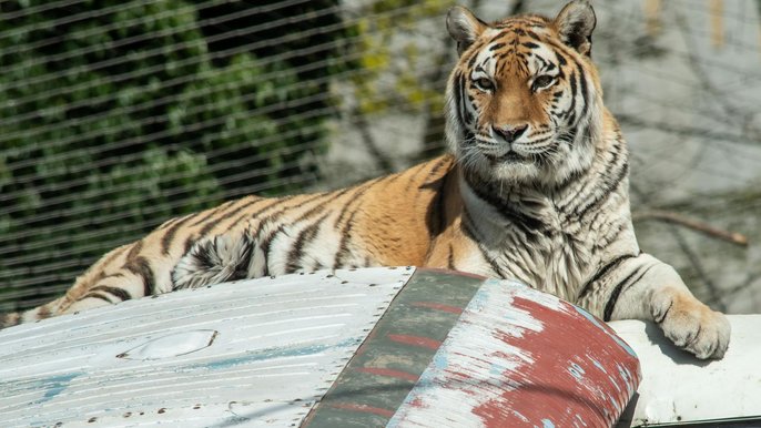 Majówka w ZOO 