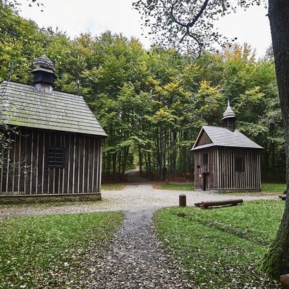 Las Łagiewnicki , fot. Jóźwiak