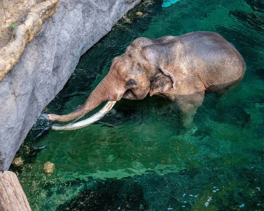 fot. Paweł Łacheta