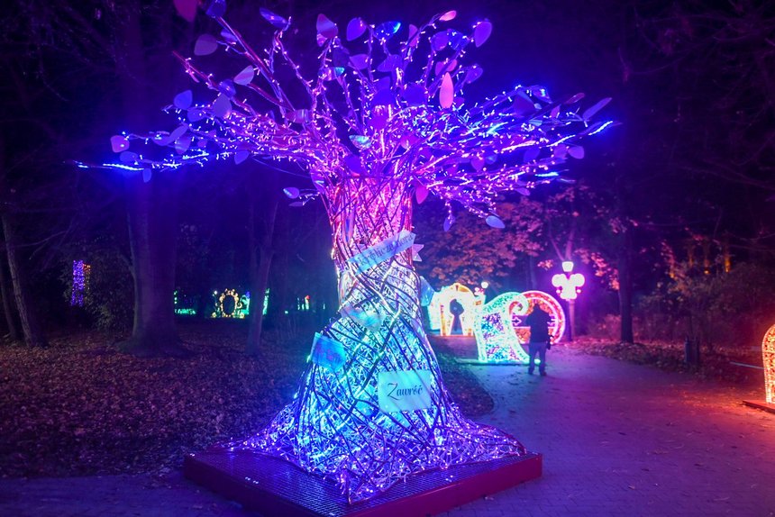 fot. Paweł Łacheta