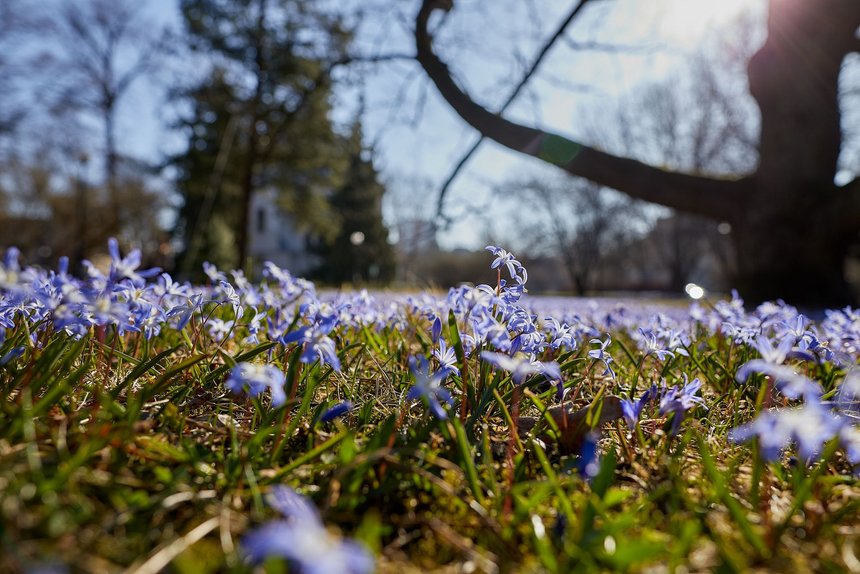 fot. ŁÓDŹ.PL