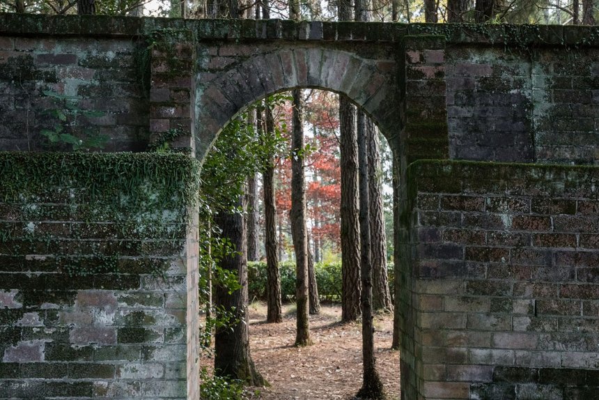 fot. Envato Elements