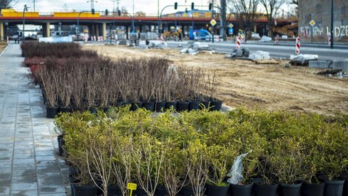 fot. Stefan Brajter / UMŁ